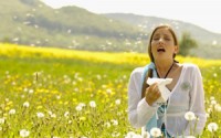 See an Allergist to Put Your Allergy Suffering to an End